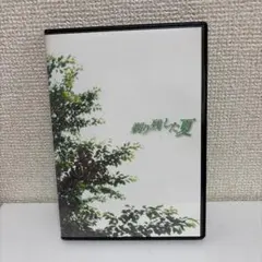 ゴールデンボンバー DVD 剃り残した夏 - メルカリ