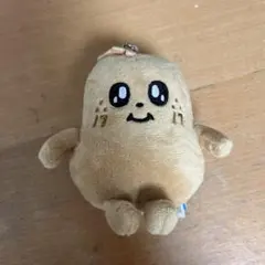 ミニティーン KIMJA キムジャ ミンギュ フェイスキーリング セブチ