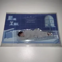 SnowMan 渡辺翔太　アクリルスタンド　アクスタ　RAYS