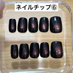 【新品未使用】ネイルチップ⑥マグネットネイル ケース付き