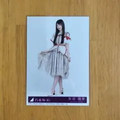 乃木坂46 矢田萌華