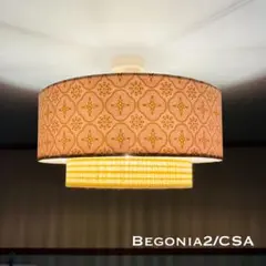 Item thumbnail for item 3135dd7a-dca9-451b-b91d-8d1f99fba3b0