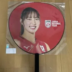 佐藤淑乃 バレーボール女子日本代表 グッズ5点セット - メルカリ