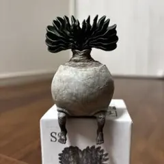 2025年最新】オズワート ozwrtの人気アイテム - メルカリ