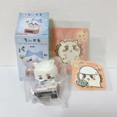 ちいかわ ダンボールウォッチ シーサー おでこに怪我あり