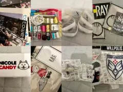 BUMP OF CHICKEN グッズ　まとめ売　非売品　限定　バンプオブチキンのサムネイル