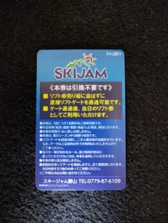 スキージャム勝山 平日大人リフト券 25-26シーズン 1枚 【おまけ付き】