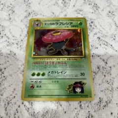 エリカのラフレシア ☆ ジム拡張第1弾 リーダーズスタジアム - メルカリ