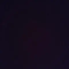 やーまん様専用ページ グレープ