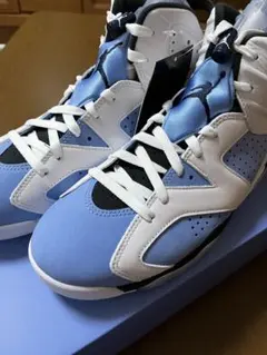 AIR JORDAN 6 RETRO 