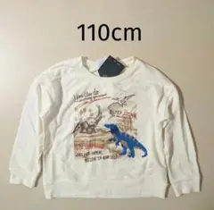 Item thumbnail for item d78cc0fc-60b3-42ab-b096-b2a7cdfabf48