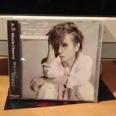 Acid Black Cherry [未開封]クリアファイル13点セット Acid Black Cherry [未開封]クリアファイル13点セット Amazon.co