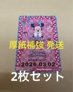 ディズニー リゾートライン ミニー パルパル ファンダーランド 2枚セット