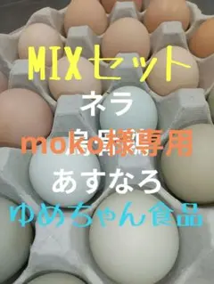 あすなろ　烏骨鶏　ネラ　ゆめちゃん食品のサムネイル