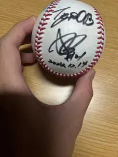 阪神タイガース　岩田稔、狩野恵輔、関本賢太郎　サインボール