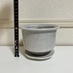 植木鉢＋受け皿
