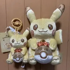 ピカピカ！ピカチュウ 30周年記念ぬいぐるみ ポケモンセンター 新品未使用