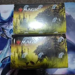 MTG Mystery Booster 2 未開封BOX ミステリーブースター2 - メルカリ
