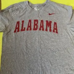 Nike Tシャツ Lサイズ グレー