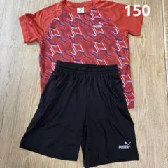 PUMA キッズ スポーツウェア 上下セット 150cm