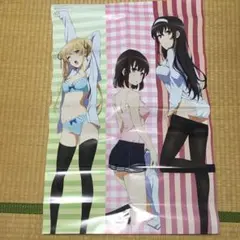 d*2様 冴えない彼女の育てかた A3クリアポスター加藤恵B - メルカリ
