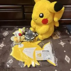 ピカピカボックス2026 金のコイキング　セット