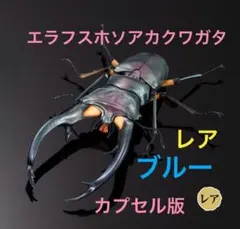 いきもの大図鑑アドバンス　クワガタ02　エラフスホソアカクワガタ（ブルー）単品