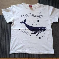 Habu Box 半袖Tシャツ Sサイズ ホワイト クジラ柄のサムネイル