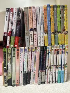 商業BL まとめ売り 35冊