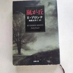 嵐が丘 E・ブロンテ 新潮文庫