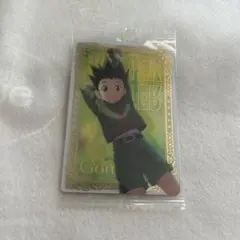 HUNTER×HUNTER イタジャガ ゴン