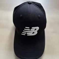 Item thumbnail for item 17b7e557-2cb8-4359-9b48-4fd56764648b