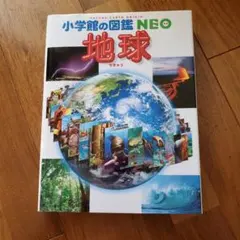 Item thumbnail for item 20ab7500-0cad-45d3-8c83-920bd0765efc