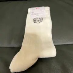 Item thumbnail for item 1c73d9a6-c13a-4f88-994e-6251bd51f82f