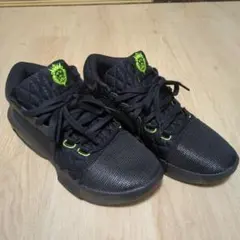 NIKEレブロンウィットネス8EPのサムネイル