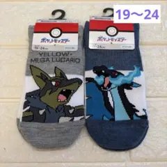 ポケモン　ソックス　２足組　サイズ19〜24㎝　メッシュ編み　メガリザードンx