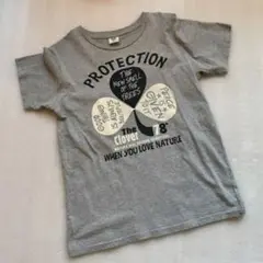 TーGRAPHICS ティーグラフィックス　　　　　　　　 Ｔシャツ M