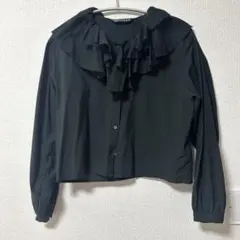 2025SS☆ミズイロインド☆ダブルフリルカラーシャツ クロップド 