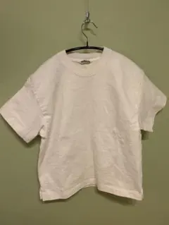 AURALEE オーラリー　半袖