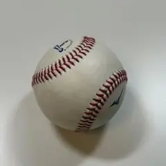 【ファールボール】投手 才木浩人 打者 高橋圭二 プロ野球 阪神 ヤクルト
