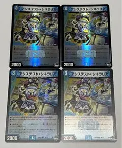 アシステストシネラリア