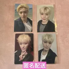 SEVENTEEN FML 会場限定トレカ ディノ セット