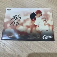 Item thumbnail for item 0fea0c3f-57a3-41f2-9623-addf2f673016