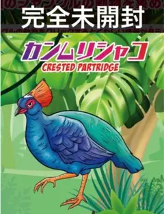 完全未開封　デアゴスティーニ　ジャングル&co. バイカラー　カンムリシャコ