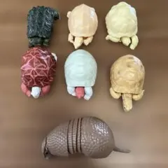 カプセルトイ ガチャガチャ★いきもの大図鑑 カメ アルマジロ