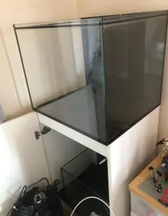 2026年最新】jebaoの人気アイテム - メルカリ