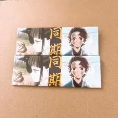 鬼滅の刃」シリーズ立志編 第一期「縁」ランダムロング缶バッジ 栗花落カナヲ
