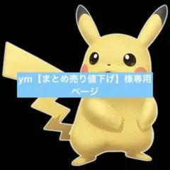 ym【まとめ売り値下げ】様リクエストまとめ買い商品