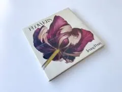 Item thumbnail for item da5d7cfb-0d9c-4992-9044-099f4163be71