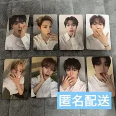 ald1 musicplant ミュープラ ヨントン トレカ 8枚 セット